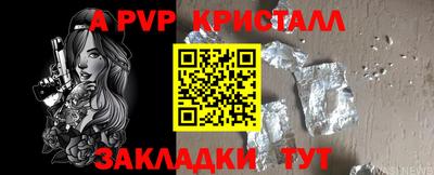 стафф Владикавказ
