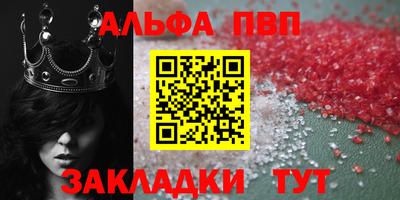 стафф Владикавказ